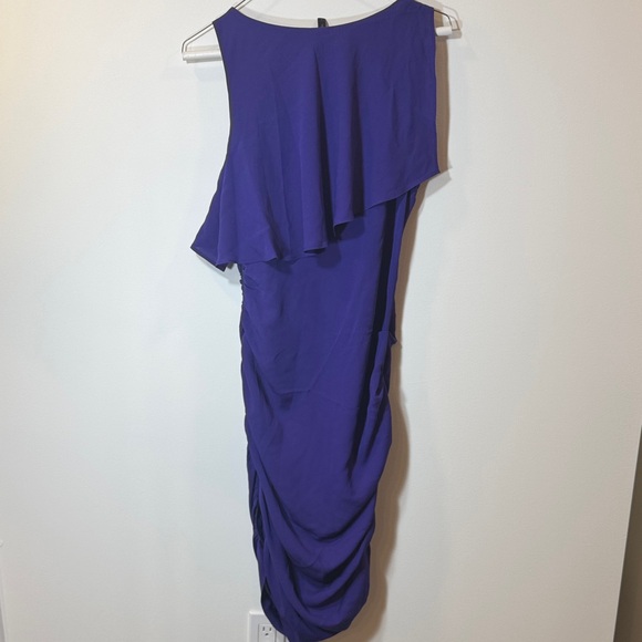 BCBGMaxAzria Asymmetrical Purple Dress - Picture 3 of 8